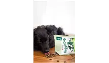 VeggieDog getreidefrei