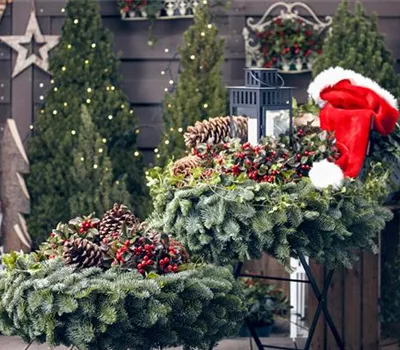 Adventskalender für Hund und Katze Adventskalender für Hund und Katze