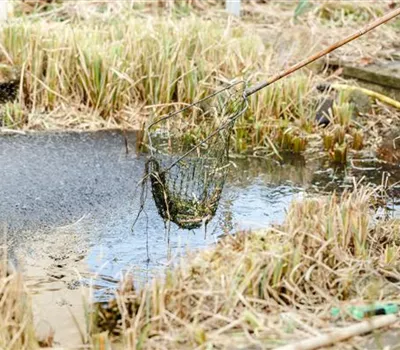 Den Gartenteich winterfest machen – So geht’s! Den Gartenteich winterfest machen – So geht’s!
