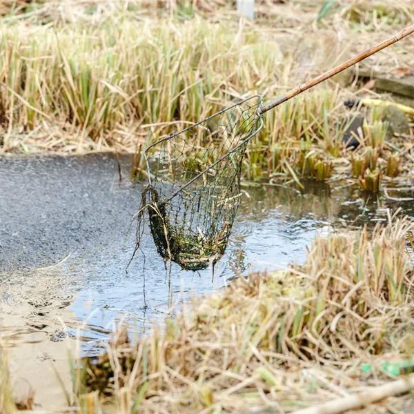Den Gartenteich winterfest machen – So geht’s! Den Gartenteich winterfest machen – So geht’s!