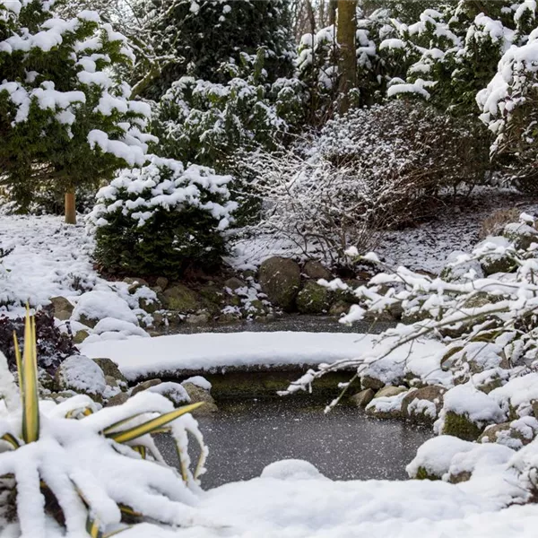 Eisfreihalter – nützliche Tools für den Teich im Winter Eisfreihalter – nützliche Tools für den Teich im Winter