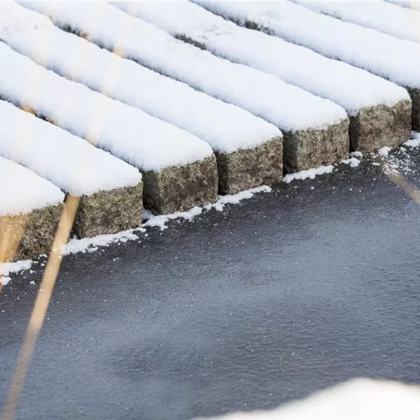 Teichbeheizung im Winter: Fische sind Warmduscher Teichbeheizung im Winter: Fische sind Warmduscher