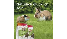 Kaninchen 1,5 kg
