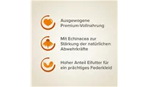 Großsittich Futter