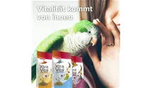 Großsittich Futter