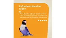 Großsittich Futter