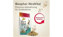 Großsittich Futter