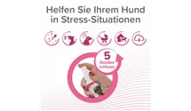 Wohlfühl Spray Pheromone