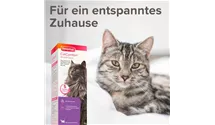 Wohlfühl Spray Pheromone