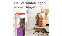 Wohlfühl Spray Pheromone
