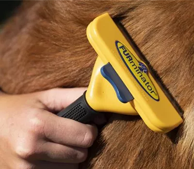 FURminator – Das praktische Hilfsmittel bei der Fellpflege FURminator – Das praktische Hilfsmittel bei der Fellpflege