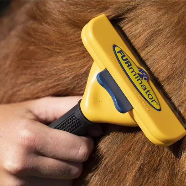FURminator – Das praktische Hilfsmittel bei der Fellpflege FURminator – Das praktische Hilfsmittel bei der Fellpflege
