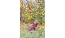 Pirou - wattiert 200g/m² - Farbe sand