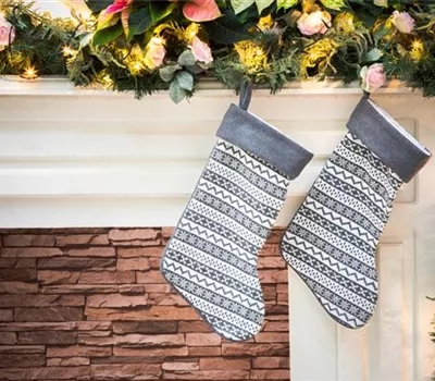 Leckere Nikolaus – Geschenke für Hund und Katze Leckere Nikolaus – Geschenke für Hund und Katze