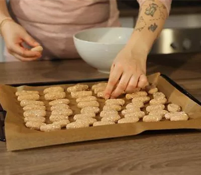 Weihnachtskekse für Hund und Katze – Selberbacken oder kaufen? Weihnachtskekse für Hund und Katze – Selberbacken oder kaufen?