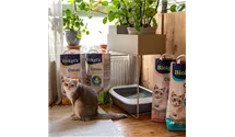 Biokats Katzenstreu - unterschiedliche Korngren