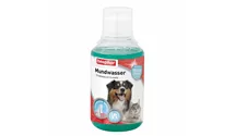 Mundwasser mit Menthol 250ml