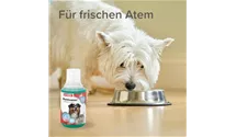 Mundwasser mit Menthol 250ml