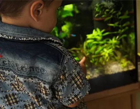 Aquarium kaufen – neu oder gebraucht? Aquarium kaufen – neu oder gebraucht?