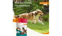 Flexifit Snacks - mit Fleischgeschmack 150g 