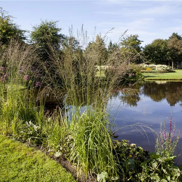 Der richtige Teich für jeden Garten Der richtige Teich für jeden Garten