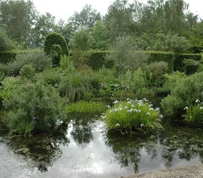 Der richtige Teichfilter – ein absolutes Muss im Fischteich! Der richtige Teichfilter – ein absolutes Muss im Fischteich!
