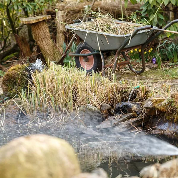 Es ist Putztag! Natürliche Pflege für den Gartenteich Es ist Putztag! Natürliche Pflege für den Gartenteich