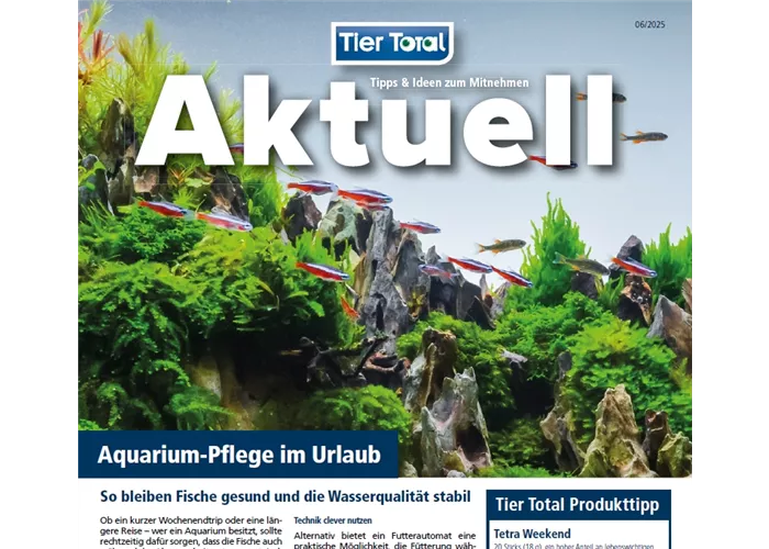 Aktuelles - Aquarium-Pflege im Urlaub Aktuelles - Aquarium-Pflege im Urlaub