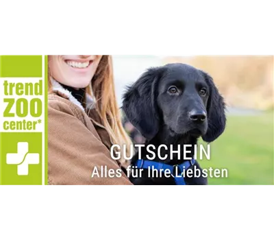 Online Gutschein Online Gutschein