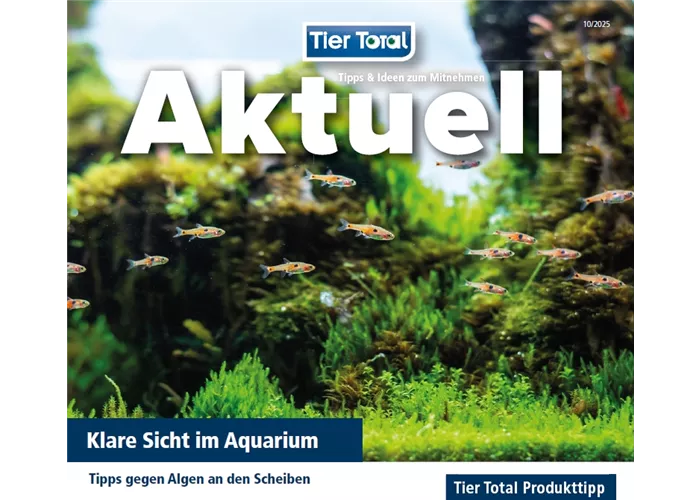 Aktuelles - Klare Sicht im Aquarium Aktuelles - Klare Sicht im Aquarium