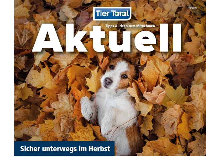 Aktuelles - Sicher unterwegs im Herbst Aktuelles - Sicher unterwegs im Herbst