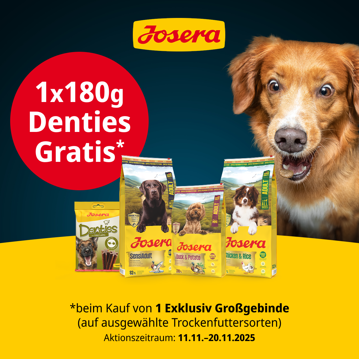 DTS-4295_1200x1200px_ZM.png DTS-4295_1200x1200px_ZM.png