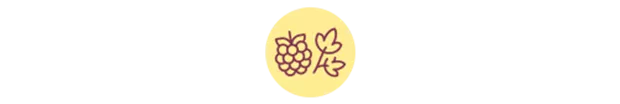 JOS_Icons_HerbsAndFruit_yellow_Mini.png