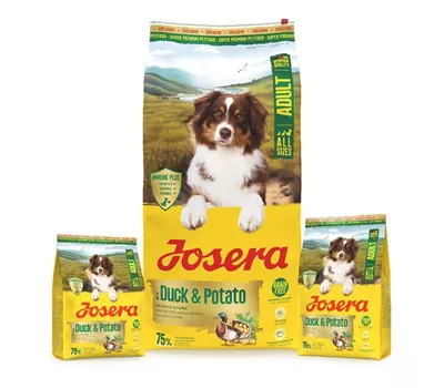 Josera A/S Adult Hundetrockenfutter