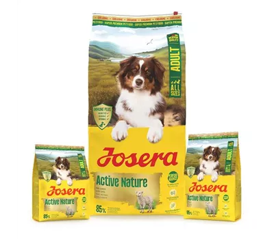 Josera A/S Adult Hundetrockenfutter