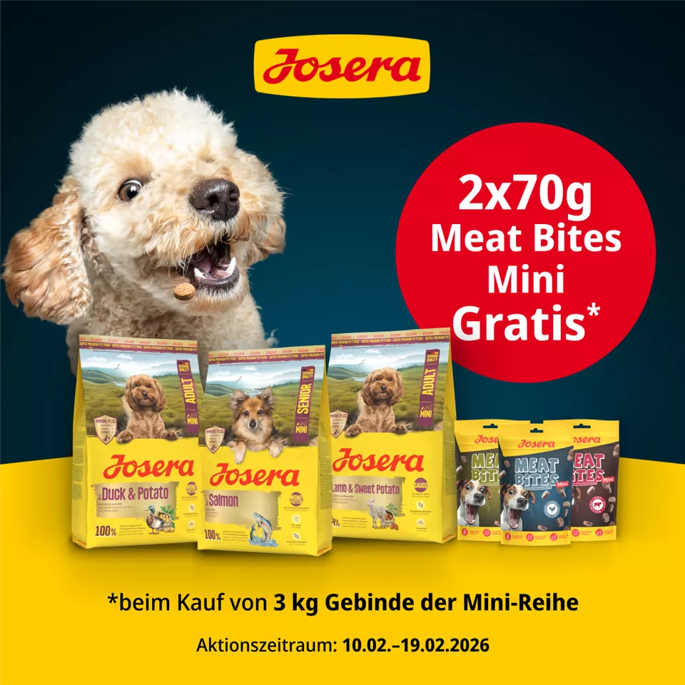 DTS-5483_1200x1200px_ZM.png DTS-5483_1200x1200px_ZM.png