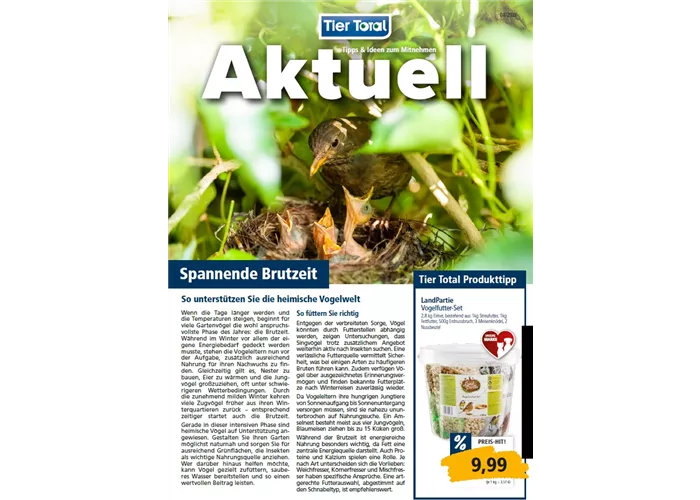 Aktuelles - Spannende Brutzeit