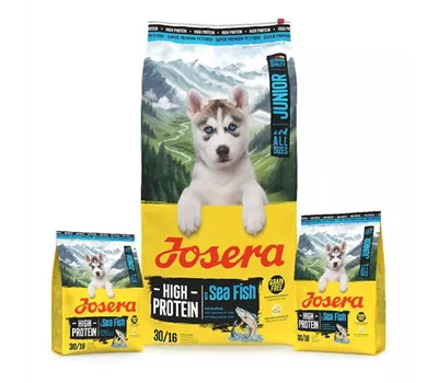 Josera High Protein Junior Hundetrockenfutter