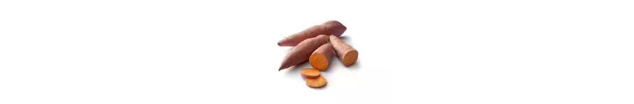 ingredient-sweet-potato.png