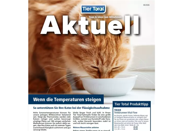 Aktuelles - Wenn die Temperaturen steigen